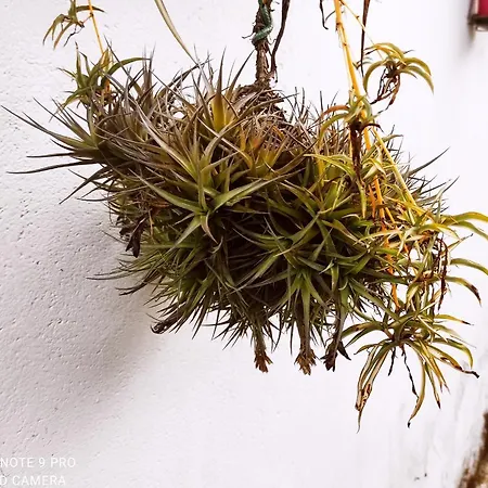 Artilleiro Santiago de Compostela