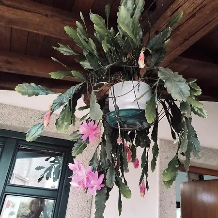 Artilleiro Gasthof 3*