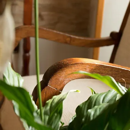 Guest house Artilleiro 2*