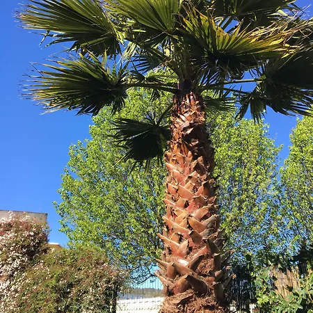 Πανσιόν Artilleiro 3*